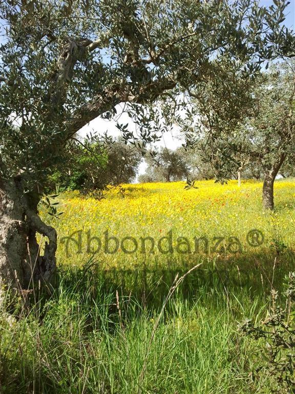 Agriturismo Abbondanza Alberobello Exterior photo