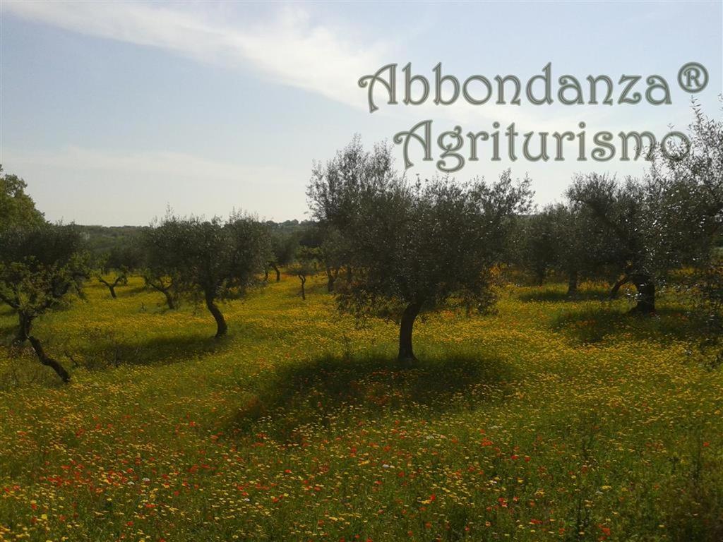 Agriturismo Abbondanza Alberobello Exterior photo
